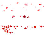 玫瑰花瓣