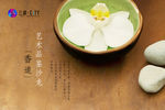 香道 花茶 古典 唐宋 文雅