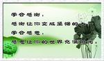 学会感谢  学会感恩