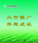 农行窗帘
