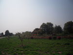 公园风景