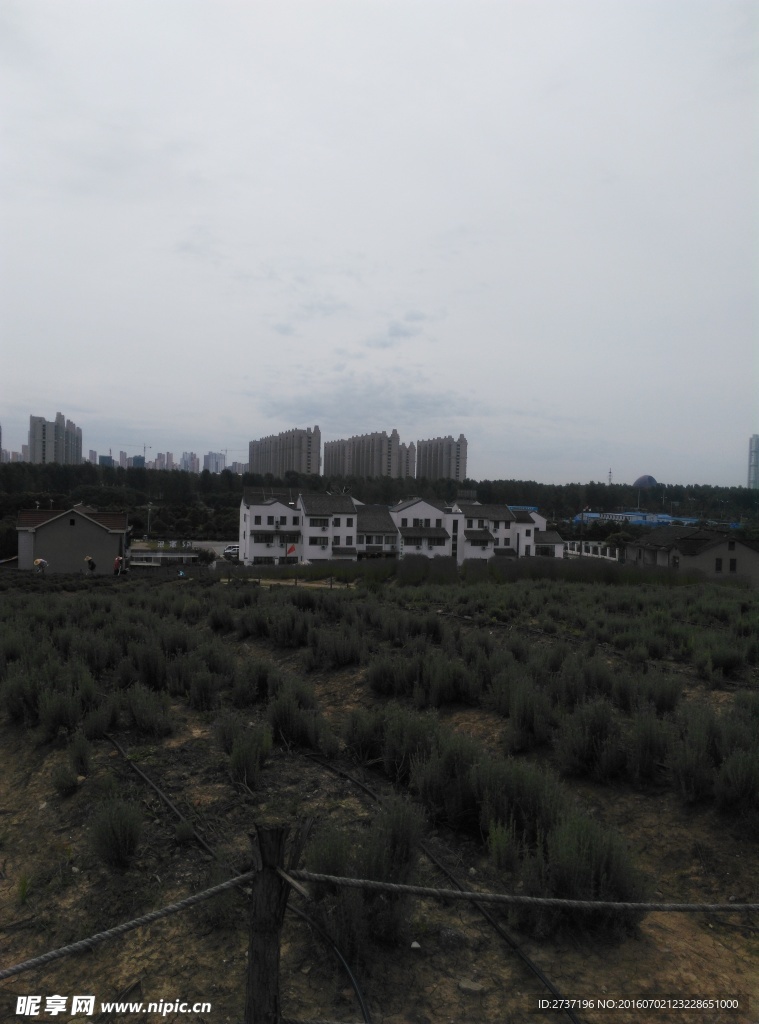 无锡园林风景