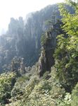 石林