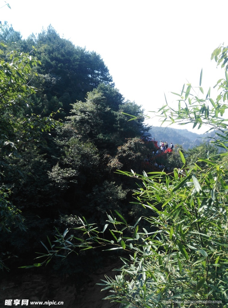 森林公园