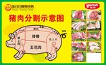 猪肉分割示意图