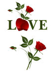 玫瑰花 love