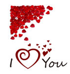 玫瑰花瓣 I LOVE YOU