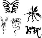 蚊子 蜘蛛 壁虎