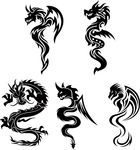 龙