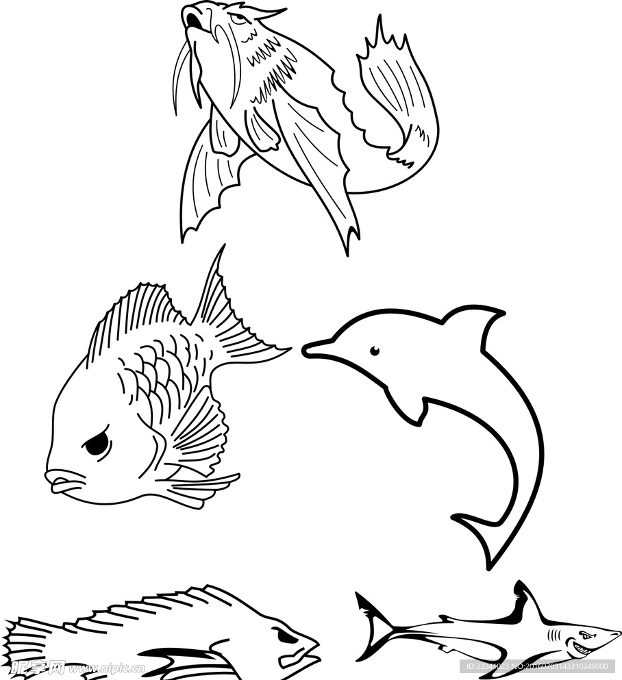 海狮 海豚 鱼