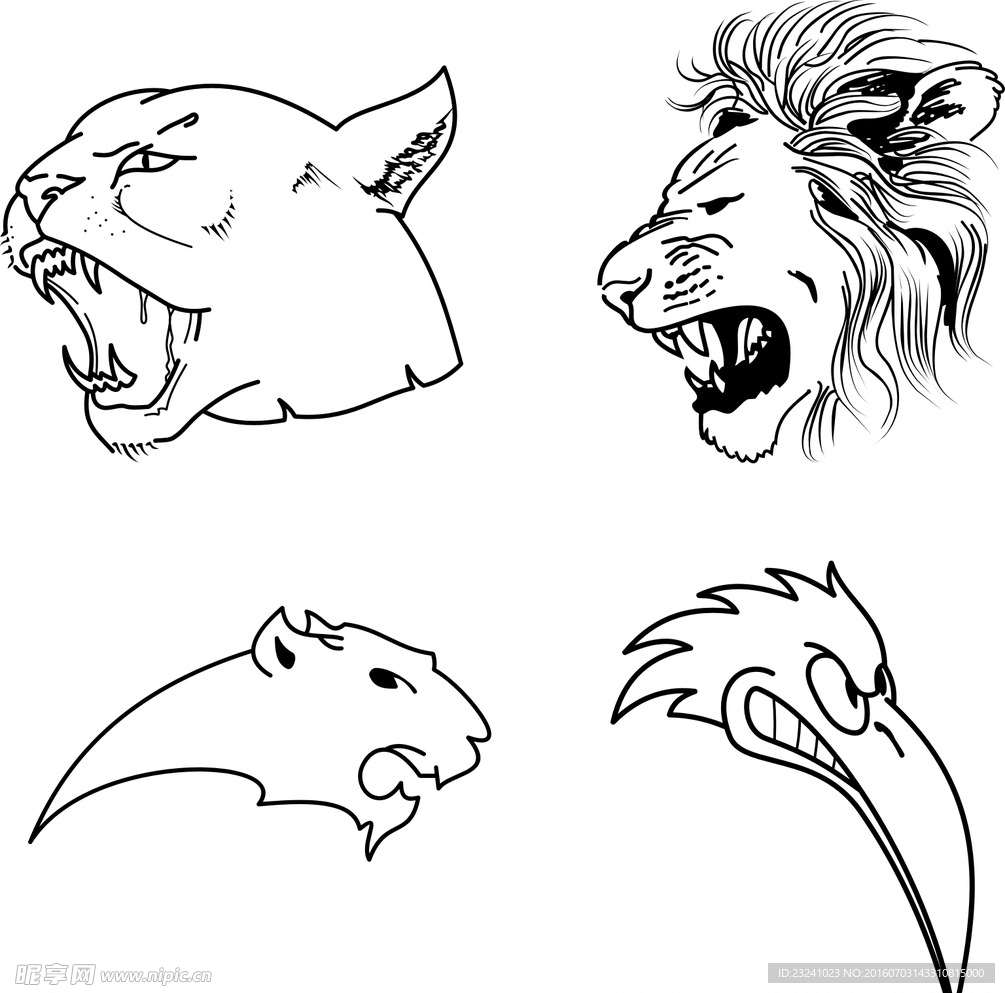 狮子头 动物头部