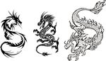 龙素材