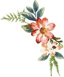 水彩鲜花