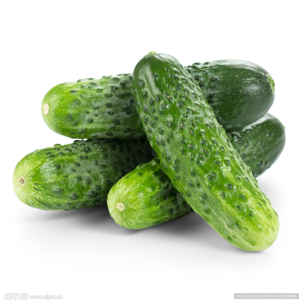 小黄瓜