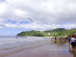 新西兰海滨风景