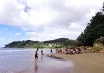 新西兰海滨风景