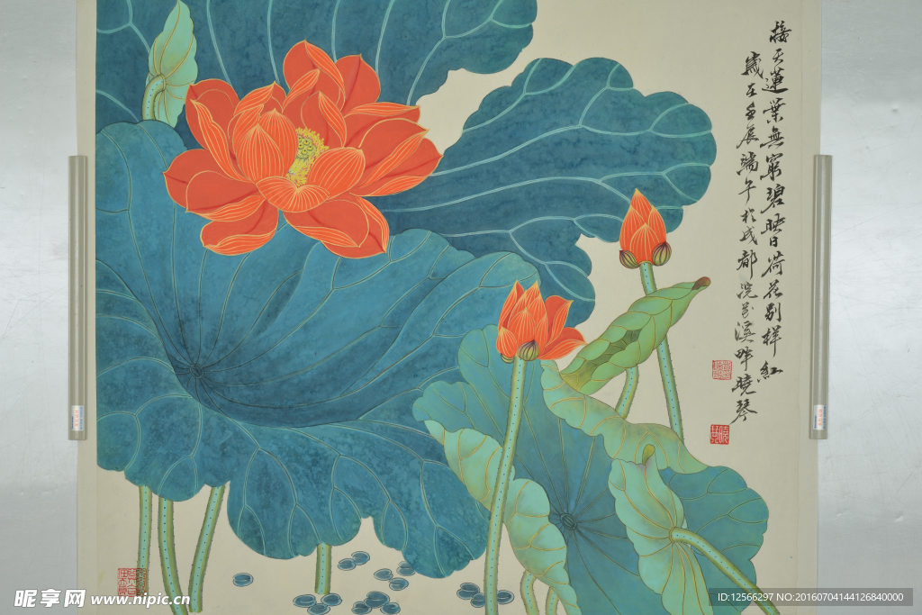 荷花