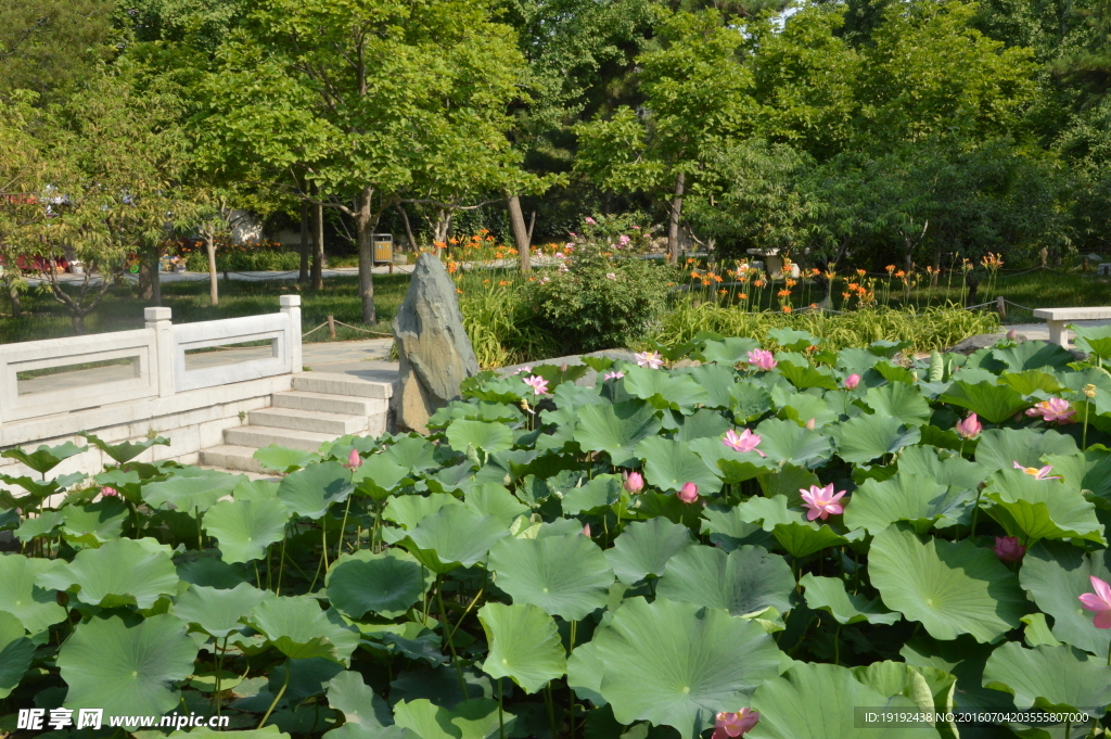 大观园美景