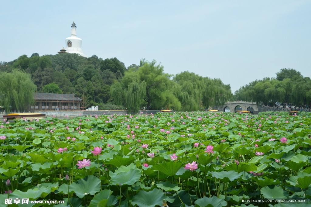 北海公园美景