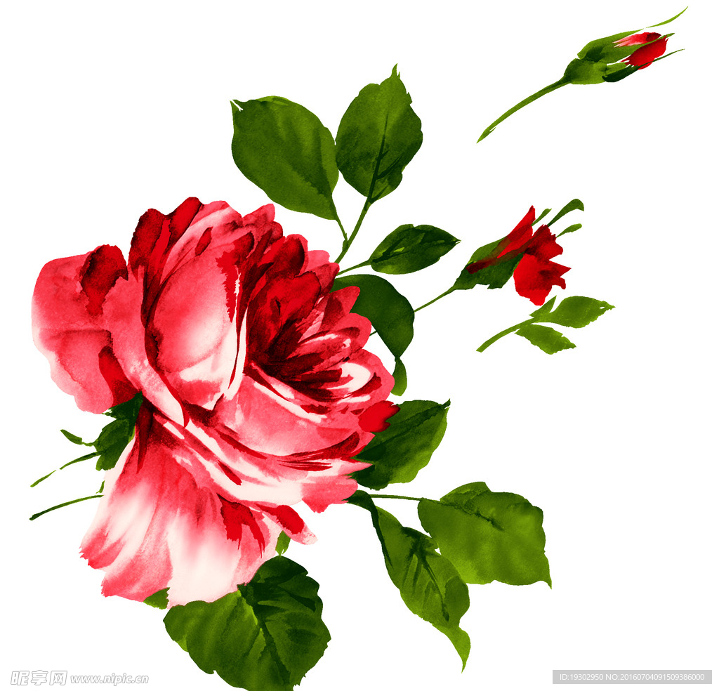 手绘花