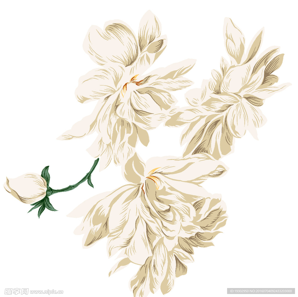 手绘花
