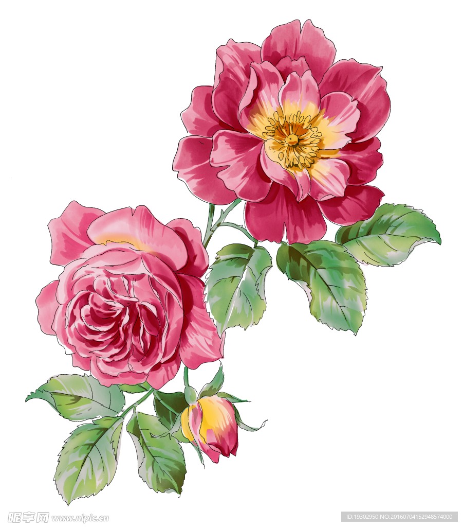 手绘花