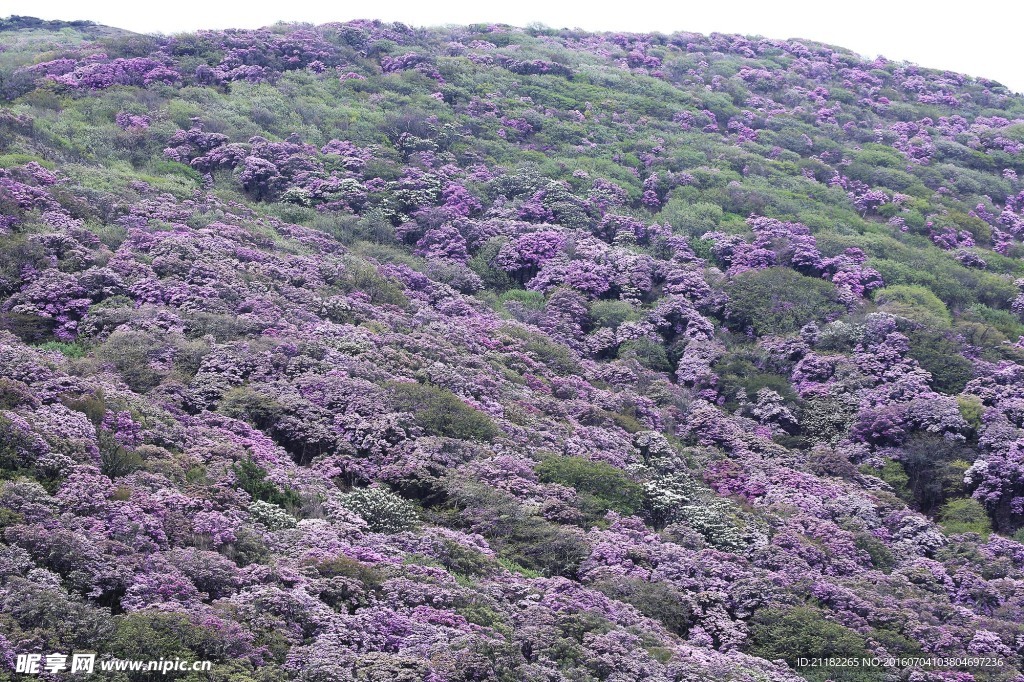马耳山