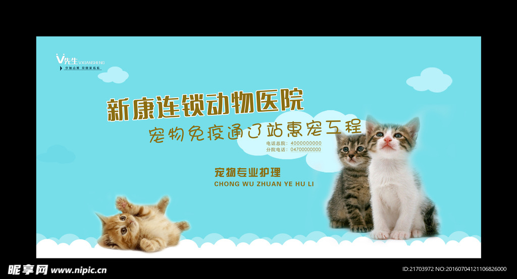宠物海报