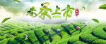 春茶上市海报