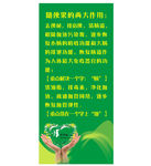 随便果介绍