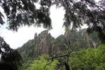 黄山