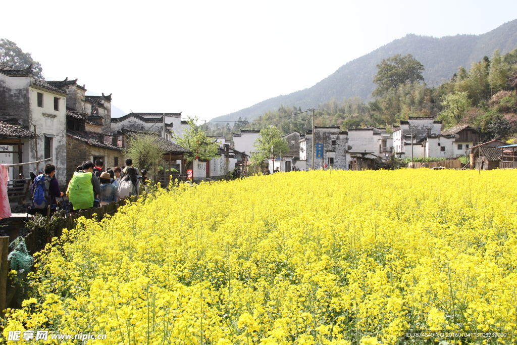 婺源