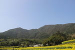婺源