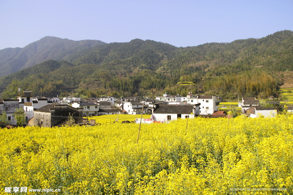 婺源