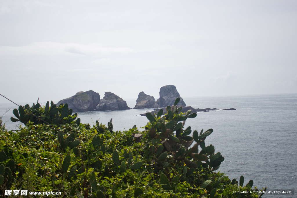 海岛