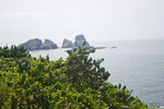 海岛