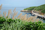 海岛