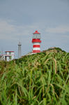 海岛