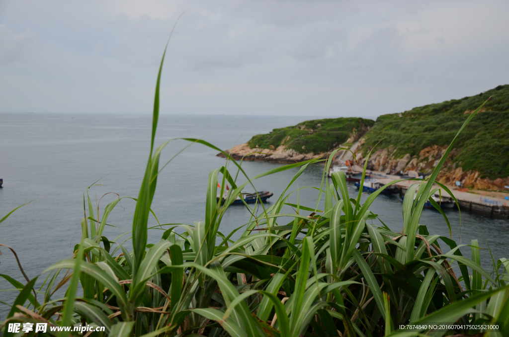 海岛