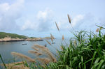 海岛