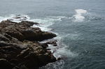 海岛