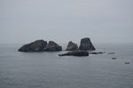 海岛