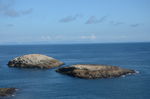 海岛