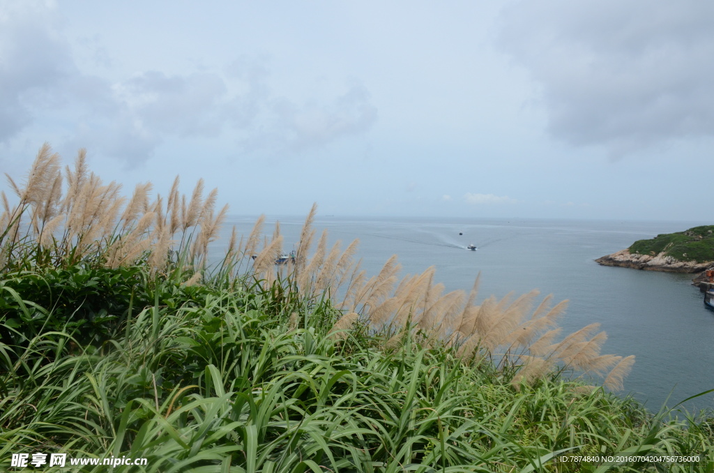 海岛