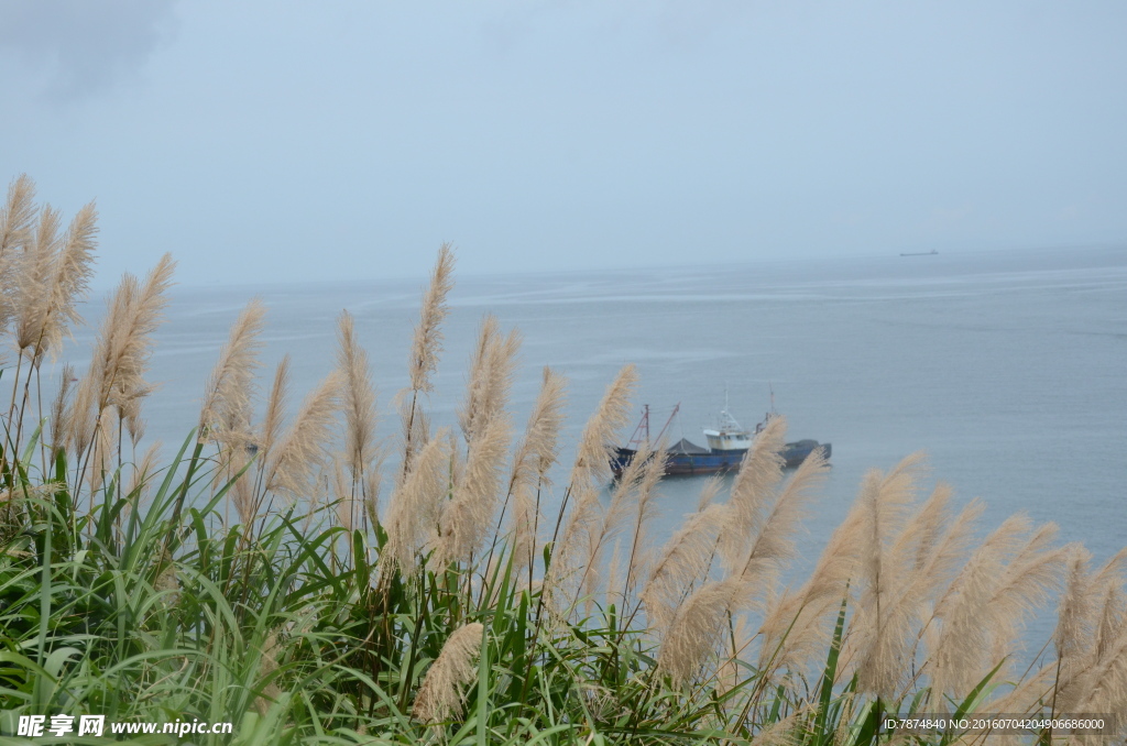 海岛