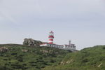 海岛
