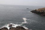 海岛