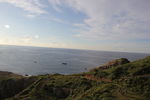 海岛