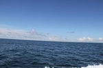 海岛