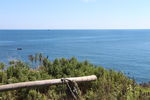 海岛